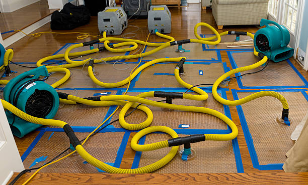 Professional Basement Flood Cleanup technician working in Free Soil, MI