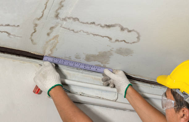 Affordable Water Damage Repair solutions in Free Soil, MI